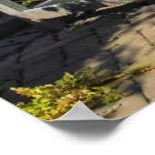 Poster Wooden Bench in Lush Garden (Coin)