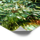 POSTER WOODLAND (Coin)