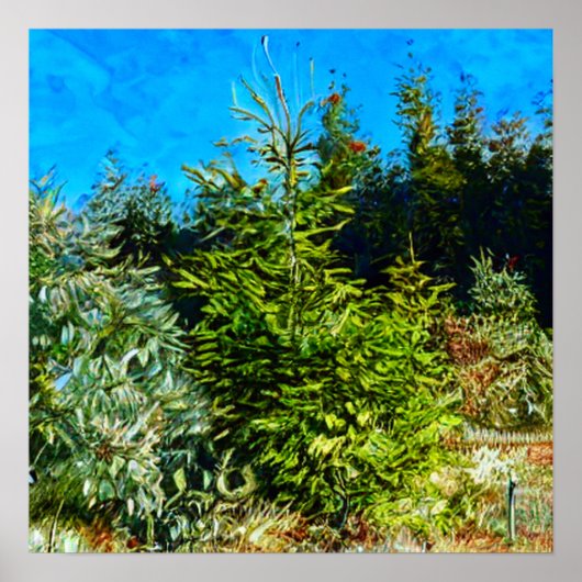 POSTER WOODLAND (Devant)