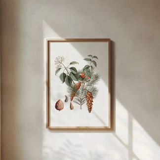Poster Woodland Botanical – Pine Cone and Berry 