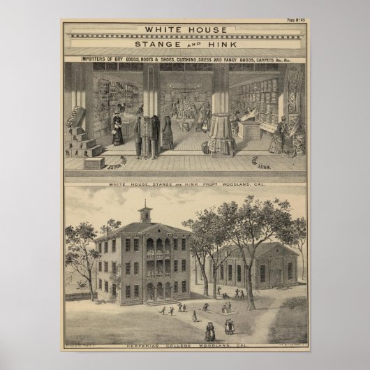 Poster Woodland store, collège (Devant)