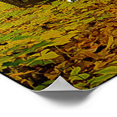 Poster Woodland Trail & Henry David Thoreau citation (Coin)