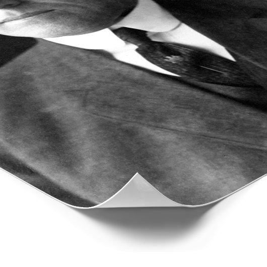 Poster Woodrow Wilson (Coin)