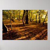 Poster Woods (Devant)