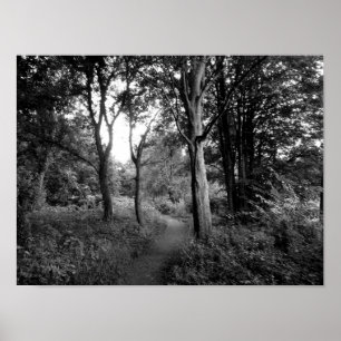 Poster Woods Bute Park, Cardiff