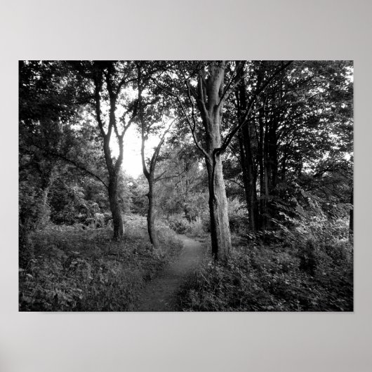 Poster Woods Bute Park, Cardiff (Devant)