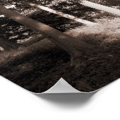 Poster Woods Bute Park, Cardiff II (Coin)