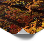 Poster Woods in Automn - (Coin)