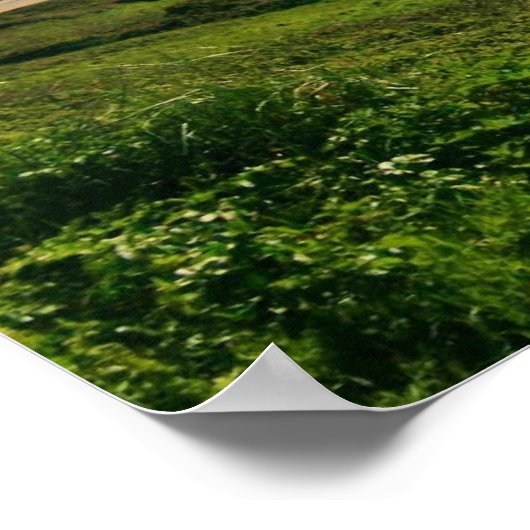 Poster Woolacombe Panaroma (Coin)