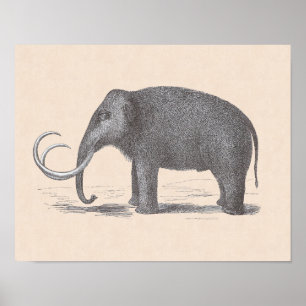 Poster Woolly Mammoth Extinct Mastodon Funny Vintage
