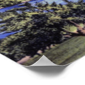 Poster Worcester Massachusetts Green Hill Park (Coin)
