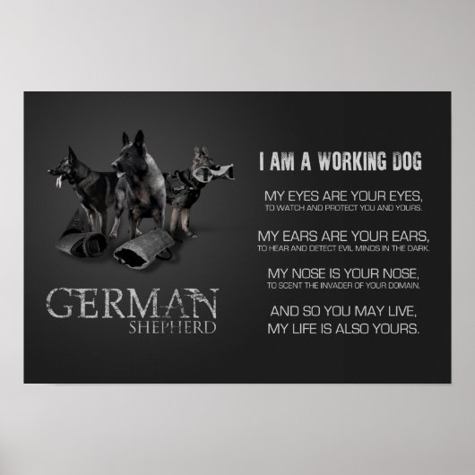 Poster Working German (Devant)