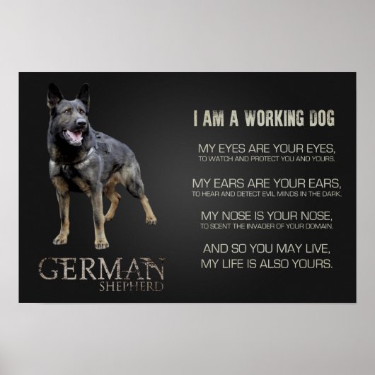 Poster Working German (Devant)