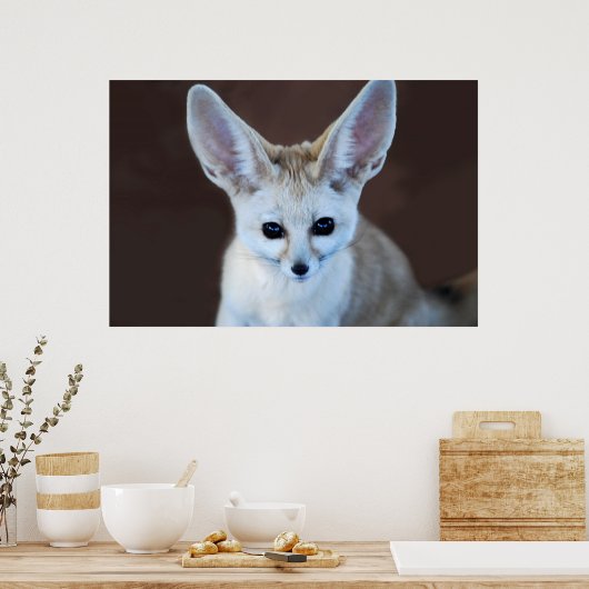Poster Worlest Cutest Fennec Fox (Cuisine)