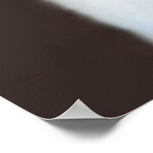 Poster Worlest Cutest Fennec Fox (Coin)