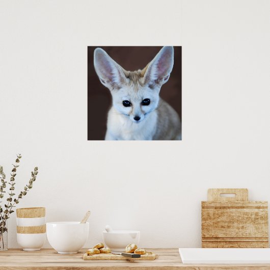 Poster Worlest Cutest Fennec Fox (Cuisine)