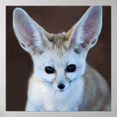 Poster Worlest Cutest Fennec Fox (Devant)