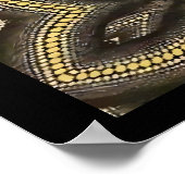 Poster Wormcore (Coin)