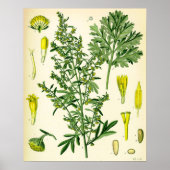 Poster wormwood (Devant)