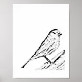 Poster - Wren naar kleur (Voorkant)