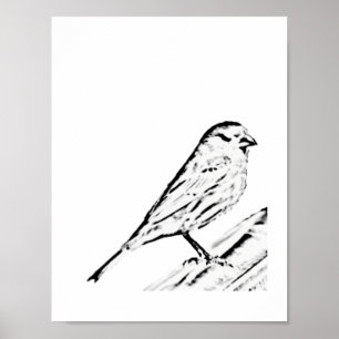 Poster - Wren to Color