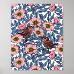 Poster Wrens en rose