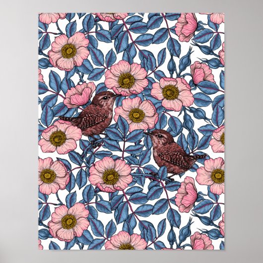 Poster Wrens en rose (Devant)