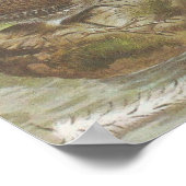 Poster Wrens vintages (Coin)