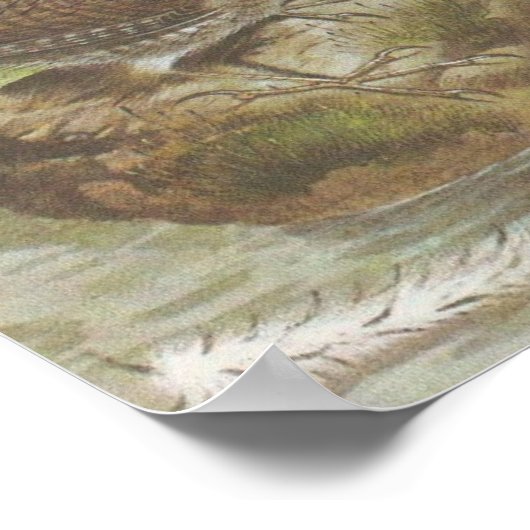 Poster Wrens vintages (Coin)