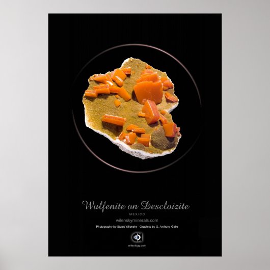 POSTER WULFENITE (Devant)