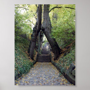 Poster Wurzburg, Allemagne