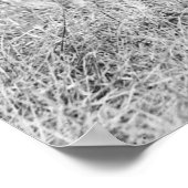 Poster WV Wesleyan Football, 1919 (Coin)