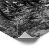 Poster WW1 German Fighter Plane, 1910s (Coin)