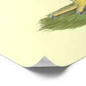 Poster Wyandotte : Hen à lacet argent (Coin)