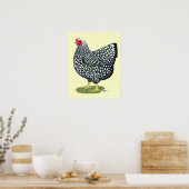 Poster Wyandotte : Hen à lacet argent (Cuisine)