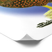 Poster Wyandotte : Paire dorée (Coin)