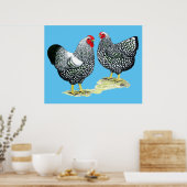 Poster Wyandottes Paire en argent (Cuisine)