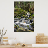 Poster Wyming Brooke, Sheffield (Cuisine)