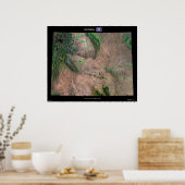 Poster Wyoming (Cuisine)