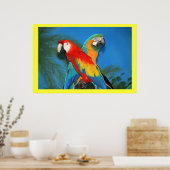 Poster X Marque les perroquets ponctuels (Cuisine)