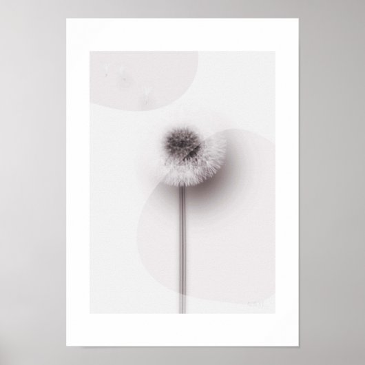 Poster X-ray Botanical Art - Dandelion (Devant)