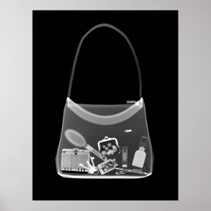 POSTER - X-RAY PURSE ZWARTE GRAY