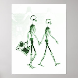 Poster- X-Ray Skelet met koppeling aan groen Poster