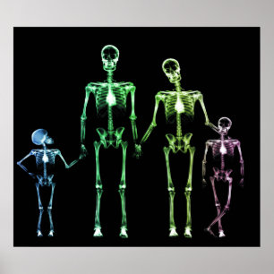 POSTER - X-RAY SKELETON FAMILIE BLACK ORIGINEEL