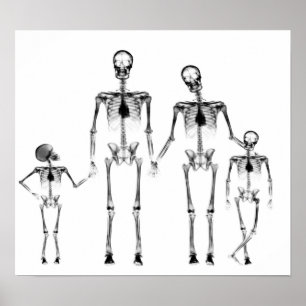 POSTER - X-RAY SKELETON FAMILIE BLACK & WHITE