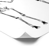 POSTER - X RAY SKELETON FAMILLE NOIR & BLANC (Coin)