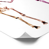 POSTER - X RAY SKELETON FAMILLE ORIGINAL BLANC (Coin)