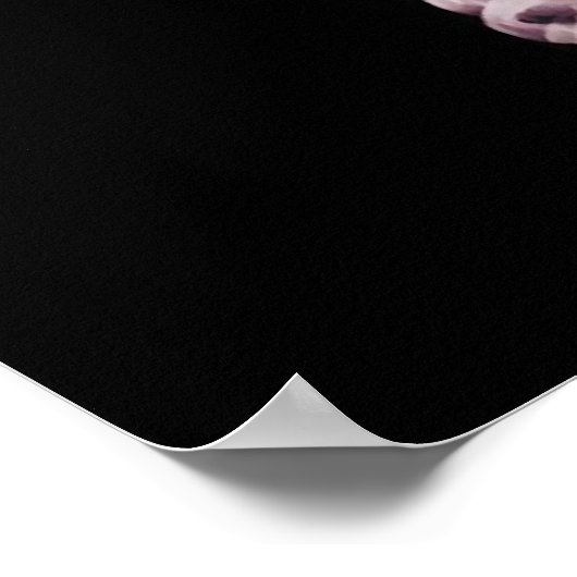 POSTER X-RAY SKELETON SUR MEGAPHONE - ORIGINAL (Coin)