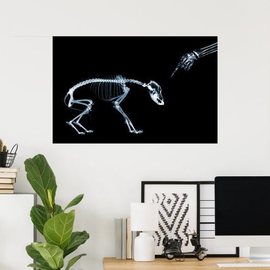 Poster X-Ray Skeletons Blue Bad Chien (Bureau à domicile)