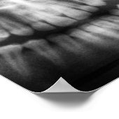 Poster X-Ray Teeth Bouche sourire noir et blanc (Coin)